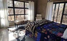 Wildlife Estate In Limpopo
